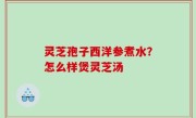 灵芝孢子西洋参煮水？怎么样煲灵芝汤