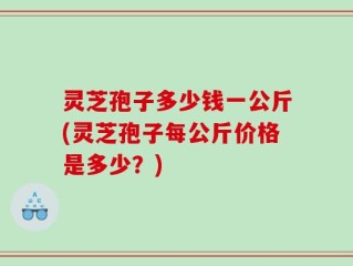 灵芝孢子多少钱一公斤(灵芝孢子每公斤价格是多少？)
