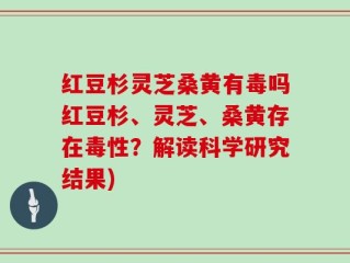 红豆杉灵芝桑黄有毒吗红豆杉、灵芝、桑黄存在毒性？解读科学研究结果)