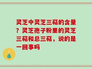 灵芝中灵芝三萜的含量？灵芝孢子粉里的灵芝三萜和总三萜，说的是一回事吗