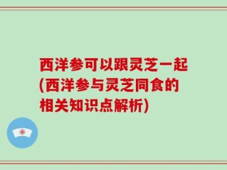 西洋参可以跟灵芝一起(西洋参与灵芝同食的相关知识点解析)