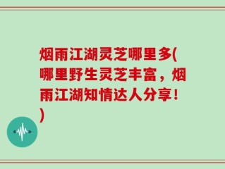 烟雨江湖灵芝哪里多(哪里野生灵芝丰富，烟雨江湖知情达人分享！)