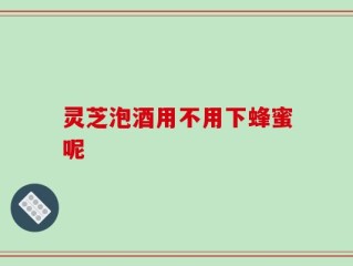 灵芝泡酒用不用下蜂蜜呢