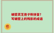破壁灵芝孢子粉拼音？写破壁上的残影的成语