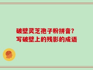 破壁灵芝孢子粉拼音？写破壁上的残影的成语