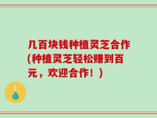 几百块钱种植灵芝合作(种植灵芝轻松赚到百元，欢迎合作！)