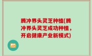 腾冲界头灵芝种植(腾冲界头灵芝成功种植，开启健康产业新模式)