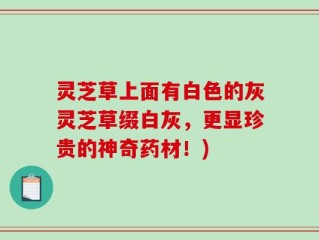 灵芝草上面有白色的灰灵芝草缀白灰，更显珍贵的神奇药材！)
