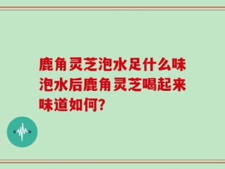 鹿角灵芝泡水足什么味泡水后鹿角灵芝喝起来味道如何？
