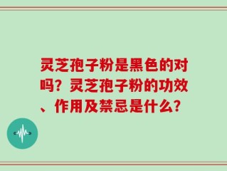 灵芝孢子粉是黑色的对吗？灵芝孢子粉的功效、作用及禁忌是什么？