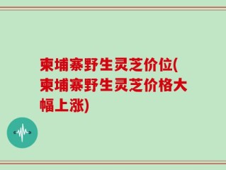 柬埔寨野生灵芝价位(柬埔寨野生灵芝价格大幅上涨)