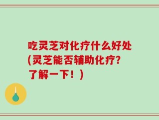 吃灵芝对化疗什么好处(灵芝能否辅助化疗？了解一下！)