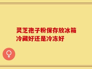 灵芝孢子粉保存放冰箱冷藏好还是冷冻好