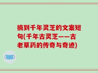 摘到千年灵芝的文案短句(千年古灵芝——古老草药的传奇与奇迹)