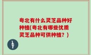 粤北有什么灵芝品种好种植(粤北有哪些优质灵芝品种可供种植？)
