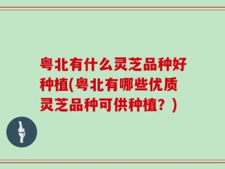 粤北有什么灵芝品种好种植(粤北有哪些优质灵芝品种可供种植？)