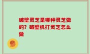 破壁灵芝是哪种灵芝做的？破壁机打灵芝怎么做