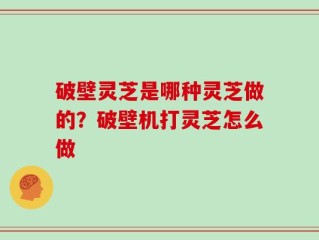 破壁灵芝是哪种灵芝做的？破壁机打灵芝怎么做