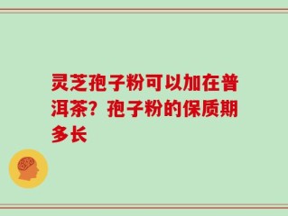 灵芝孢子粉可以加在普洱茶？孢子粉的保质期多长