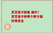 灵芝孢子胶囊 图片？灵芝孢子粉哪个牌子最好用安全