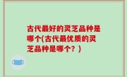 古代最好的灵芝品种是哪个(古代最优质的灵芝品种是哪个？)