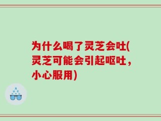 为什么喝了灵芝会吐(灵芝可能会引起呕吐，小心服用)