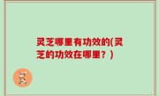 灵芝哪里有功效的(灵芝的功效在哪里？)