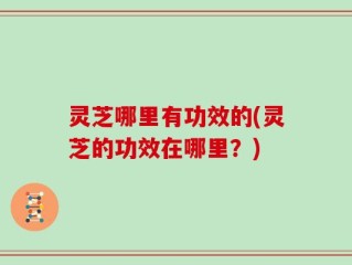 灵芝哪里有功效的(灵芝的功效在哪里？)