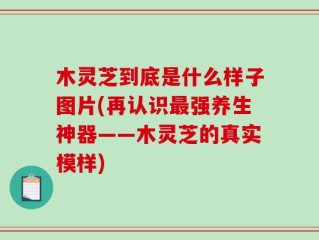 木灵芝到底是什么样子图片(再认识最强养生神器——木灵芝的真实模样)