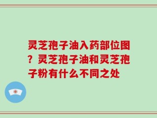 灵芝孢子油入药部位图？灵芝孢子油和灵芝孢子粉有什么不同之处