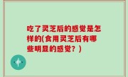 吃了灵芝后的感觉是怎样的(食用灵芝后有哪些明显的感觉？)