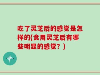吃了灵芝后的感觉是怎样的(食用灵芝后有哪些明显的感觉？)