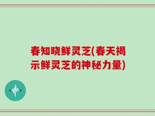 春知晓鲜灵芝(春天揭示鲜灵芝的神秘力量)