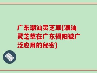 广东潮汕灵芝草(潮汕灵芝草在广东揭阳被广泛应用的秘密)