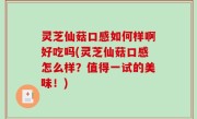 灵芝仙菇口感如何样啊好吃吗(灵芝仙菇口感怎么样？值得一试的美味！)