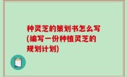 种灵芝的策划书怎么写(编写一份种植灵芝的规划计划)