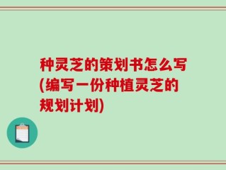 种灵芝的策划书怎么写(编写一份种植灵芝的规划计划)