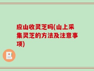 应山收灵芝吗(山上采集灵芝的方法及注意事项)
