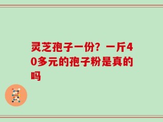 灵芝孢子一份？一斤40多元的孢子粉是真的吗
