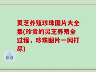 灵芝养殖珍珠图片大全集(珍贵的灵芝养殖全过程，珍珠图片一网打尽)