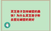 灵芝孢子怎样破壁的最快？为什么灵芝孢子粉去壁比破壁的更好