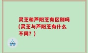 灵芝和芦阳芝有区别吗(灵芝与芦阳芝有什么不同？)