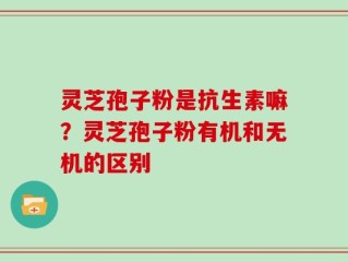 灵芝孢子粉是抗生素嘛？灵芝孢子粉有机和无机的区别