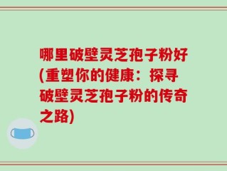哪里破壁灵芝孢子粉好(重塑你的健康：探寻破壁灵芝孢子粉的传奇之路)