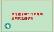 灵芝孢子等？什么是纯正的灵芝孢子粉