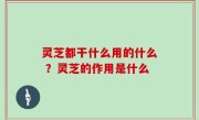 灵芝都干什么用的什么 ？灵芝的作用是什么