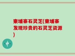 柬埔寨石灵芝(柬埔寨发现珍贵的石灵芝资源)