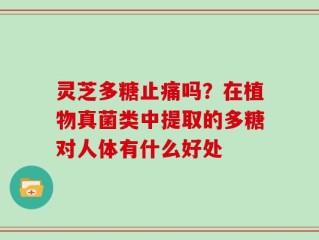 灵芝多糖止痛吗？在植物真菌类中提取的多糖对人体有什么好处