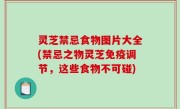 灵芝禁忌食物图片大全(禁忌之物灵芝免疫调节，这些食物不可碰)