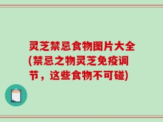 灵芝禁忌食物图片大全(禁忌之物灵芝免疫调节，这些食物不可碰)